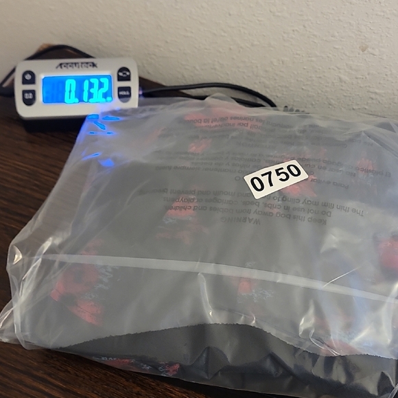 NWT Sam Edelman Russian Romance Dress Size L Whimsigoth Dark Floral Mini Ruffle - Picture 13 of 14